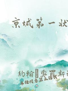 京城第一状师