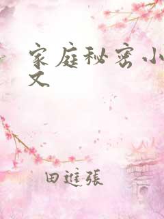 家庭秘密小说全文