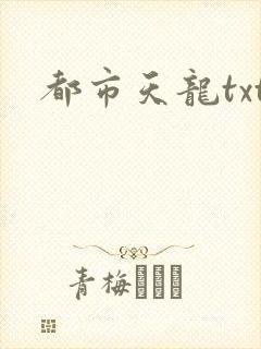 都市天龙txt