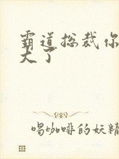 霸道总裁你的太大了