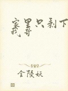 家里只剩下我和我哥