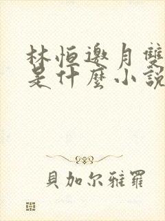 林恒邀月双胞胎是什么小说