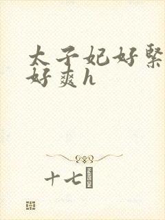 太子妃好紧皇上好爽h