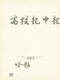 高校龙中龙