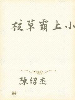 校草霸上小丫头