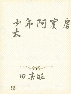 少年阿宾房东太太