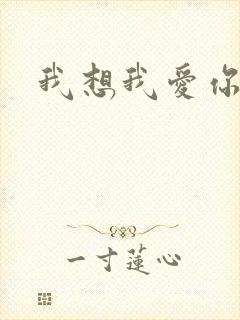 我想我爱你二蓝