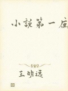 小说第一庶女