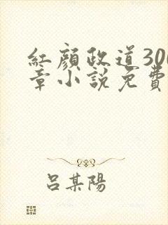 红颜政道300章小说免费阅读