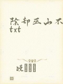 除却巫山不是云txt