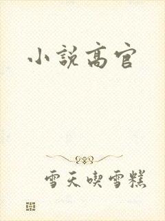 小说高官