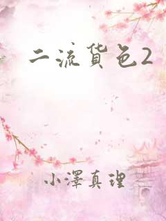 二流货色2