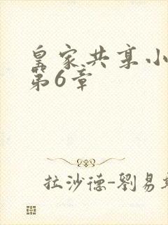 皇家共享小公主第6章