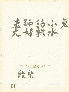 老师的小兔子好大好软水