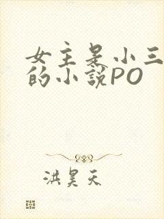 女主是小三很婊的小说PO