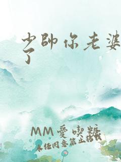 少帅你老婆又跑了