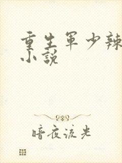 重生军少辣娇妻小说