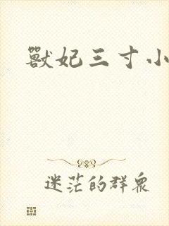 兽妃三寸小狂妻