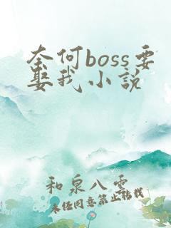 奈何boss要娶我小说