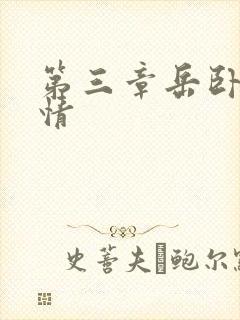 第三章岳卧室激情