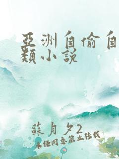 亚洲自偷自拍另类小说