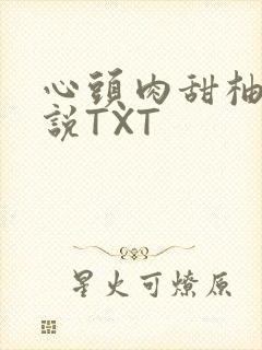 心头肉甜柚子小说TXT