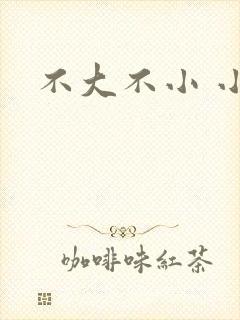 不大不小 小说