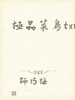 极品菜鸟txt