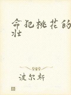 命犯桃花的李大壮