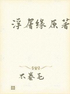 浮屠缘原著小说