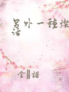 另外一种灿烂生活