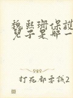 魏熙珊保护萧峥儿子是哪一集