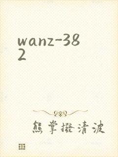 wanz-382