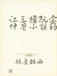 江玉楼阮念笙是什么小说的名字