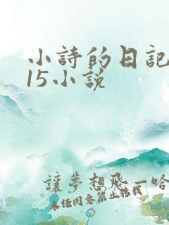 小诗的日记1一15小说