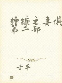 糟糠之妻俱乐部第二部