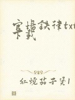 官场铁律txt下载