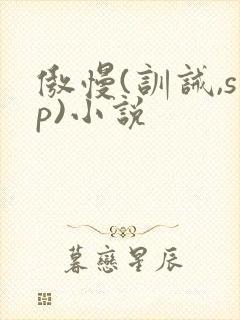 傲慢(训诫,sp)小说