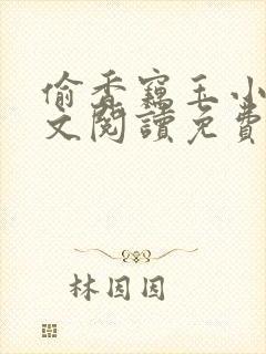 偷香窃玉小说全文阅读免费