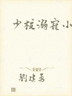 少校溺宠小小妻