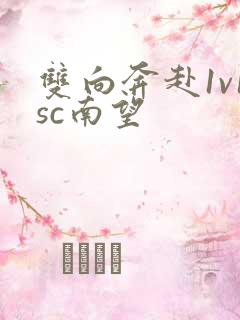 双向奔赴1v1sc南望