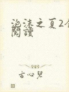 泡沫之夏2全文阅读