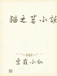 猫之茗小说