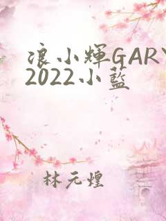 浪小辉GARY2022小蓝