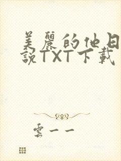 美丽的他日剧小说TXT下载