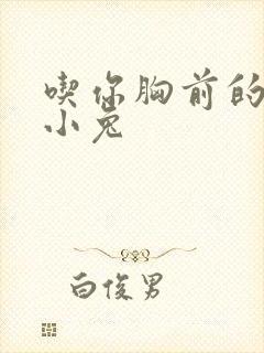 吃你胸前的两只小兔