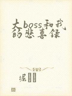 大boss和我的悲喜录