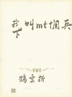 我叫mt佣兵天下