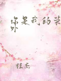 你是我的荣耀番外