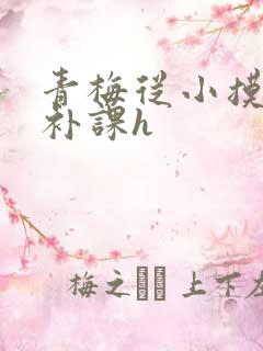 青梅从小摸到大补课h